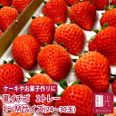 国産 夏いちご 0.6kg L〜Mサイズ (24〜30粒) ...