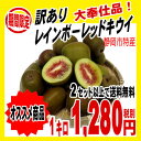 レインボーレッドキウイ 【訳あり品】たっぷり1キロ【2セットご購入で送料無料】「北海道・沖縄は+540円」