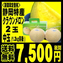【送料無料】【あす楽対応】【ギフト】【お歳暮】静岡