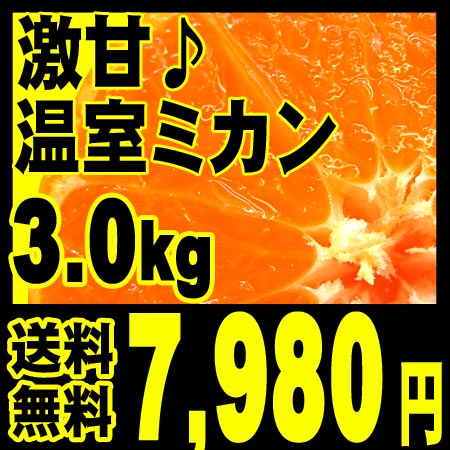 【送料無料】すっごく甘い田中さんちの完熟温室ミカン 3.0kg （小玉サイズ約45〜60個入り）【誕生日祝い】【結婚祝い】【出産祝い 】【内祝い】【 引越し祝い】【新築祝い】【昇進祝い】【快気祝い】【お見舞い 】【お礼】【記念日 】【 お中元】【自分用】