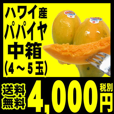 パパイア 【送料無料】ホテル御用達ハワイ産 パパイヤ 中箱（4-5玉入り）「北海道・沖縄は…...:benikou:10000034