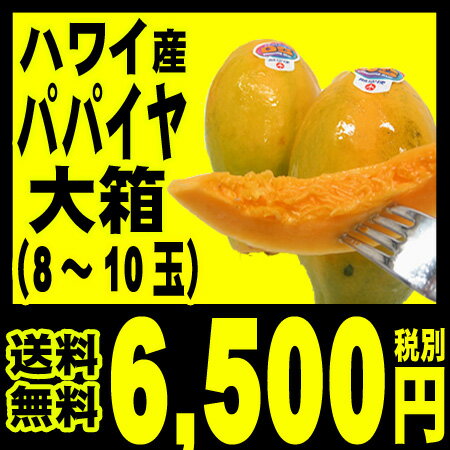 パパイア 【送料無料】ホテル御用達ハワイ産 パパイヤ 大箱（約8玉-10玉入り）「北海道・沖縄は+5...:benikou:10000035