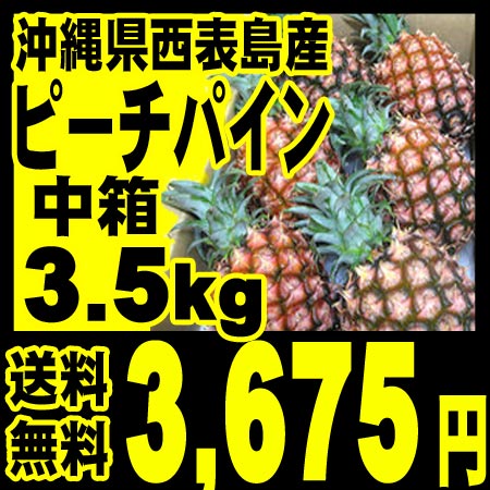 【ただ今好評入荷中♪】【送料無料】沖縄県・西表島産完熟ピーチパイン★中箱★3.5キロ以上（4〜7玉）「北海道、沖縄一部離島は+525円」★果肉は白く、柔らかく桃を食べているようなパイナップルです。国産で安心、低農薬栽培、甘い　おいしいぱいんです。ミルクパインとも呼ばれています。