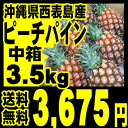 【ただ今好評入荷中♪】【送料無料】沖縄県・西表島産完熟ピーチパイン★中箱★3.5キロ以上（4〜7玉）「北海道、沖縄一部離島は+525円」