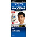 メンズビゲン ワンプッシュ 7(ナチュラルブラック)【医薬部...