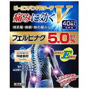 【第2類医薬品】ビーエスバンFRテープV 40枚 ※セルフメディケーション税制対象商品 あす楽対応
