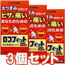 【第2類医薬品】 【3個セット】ロコフィットGL 防己黄耆湯エキス 260錠 □