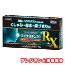 【第2類医薬品】 エピナスチン20 RX 40錠 アレルギー
