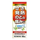 【第(2)類医薬品】 カゼックスSシロップ小児用 30mL
