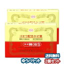 【第(2)類医薬品】 廣貫堂 顆粒ネオ眞治S 6包