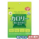 ファイン カロリー気にならないサプリ 30g(200mg×約150粒) メール便送料無料