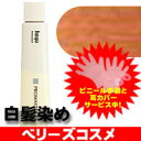 ホーユー プロマスター EX ライトレベル カッパーオレンジ CO-10/12業務用 プロ用 ヘアカ...