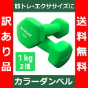 【送料無料】 (訳あり品) カラー ダンベル 1kg グリー...