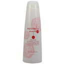 ニューウェイジャパン ナノアミノ シャンプー RM-RO 250ml