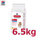 ヒルズサイエンスダイエットシニアアドバンスド小粒 高齢犬用13歳以上 6.5kg【Hill'S SCIENCE DIET】