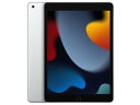 iPad Pro 11インチ 第3世代 Wi-Fi 256GB 2021年春モデル MHQV3J/A [シルバー]