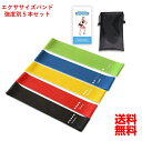 ヨガバンド トレーニングチューブ エクササイズバンド 5本セット ヨガゴム 筋トレゴム