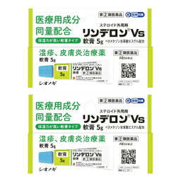 【第(2)類医薬品】【2個セット】<strong>リンデロン</strong>Vs<strong>軟膏</strong>5g【メール便】(4987904100837-2)