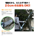 【売れ筋】高枝切りチェーンソー 電動だから楽々!最大20cmの太枝・丸太も楽に切断!ハイパワー電動 高枝切り 目立て ガーデニング (検索ワード:チェーンソー 高枝切りバサミ 鋏 超軽量 新宿 高枝切りチェーン)
