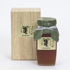 藤原養蜂場　日本蜜蜂の蜂蜜　たれみつ（550g）