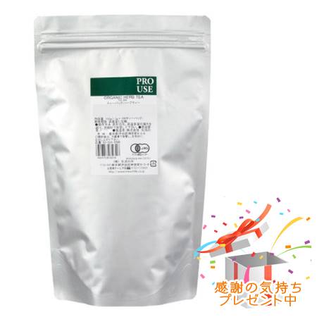 ★正規品★送料込★生活の木 ティーバッグハーブティー 有機ネトル(100ヶ入)[056][025248580]