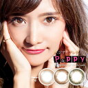 pbs[ Pappy p[ }0.00  120 1day T[NY  lR|X     JR f[ xȂ 14.2mm i` R Fa  JR  