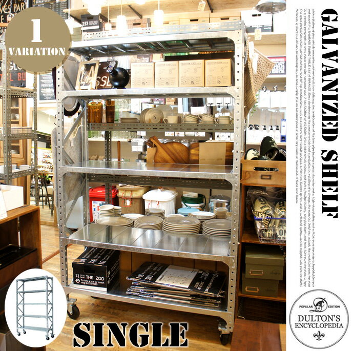 Galvanized shelf (Single)（ガルバナイズドシェルフ シングル）SLF01-S DULTON（ダルトン）