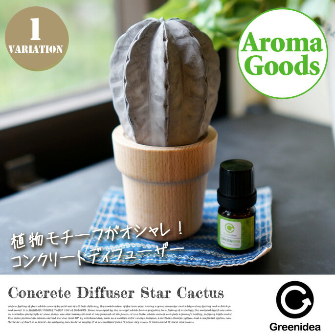 Star Cactus Concrete Diffuser（スターカクタス コンクリートディフューザー 5ml グリーンスパ）GREEN SPA 5ml Green Idea