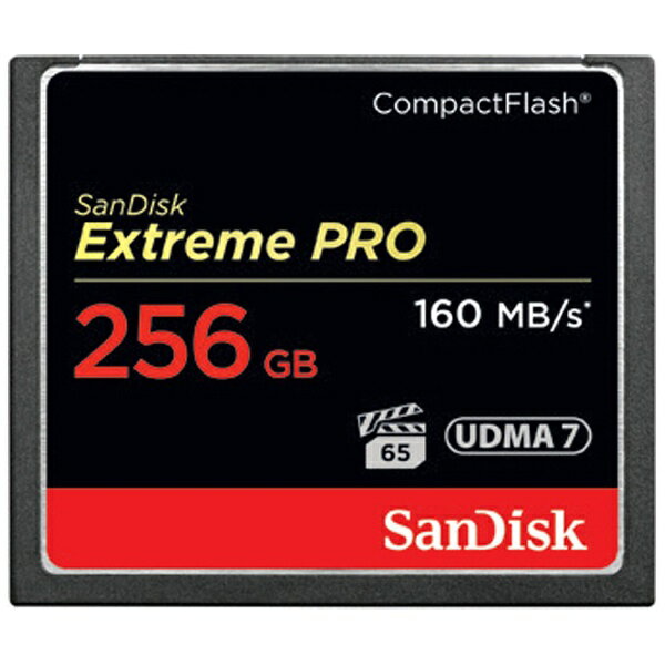 【送料無料】 サンディスク 256GBコンパクトフラッシュ Extreme PRO　SDC…...:biccamera:10700697