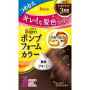ホーユー hoyu Bigen(ビゲン) ポンプフォームカラ...