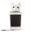 シマシマ iPhone 6s/6用 ZOOPY home ネコ ホワイト ZPH-003