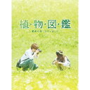 【送料無料】 松竹 植物図鑑 運命の恋、ひろいました 豪華版 初回限定生産 【DVD】