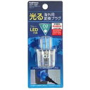 樫村 KASHIMURA 海外用光る変換プラグO2タイプ WP-58F