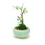 プラッツ 【完成品】1/12 ザ・盆栽 小判鉢寄せ植え(水色)【代金引換配送不可】