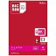 IIJ 【無料WiFi付SIM同梱】標準SIM「BIC SIM」データ通信専用・SMS非対応 ドコモ対応SIMカード IMB207