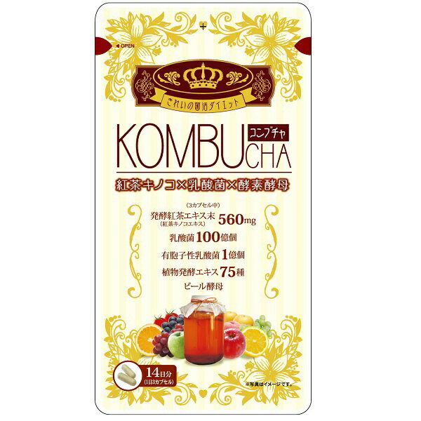 ユーワ　yuwa KONBUcha(コンブチャ) 42粒