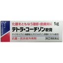 【第(2)類医薬品】テトラコーチゾン軟膏 5g伊丹