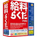 【送料無料】 BSLシステム研究所 給料らくだプロ9