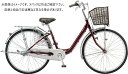 ブリヂストン BRIDGESTONE 24型 自転車 カルーサ(F.Xカラメルブラウン/シングルシフト) CR40T1【2020年モデル】【組立商品につき返品不可】 【代金引換配送不可】