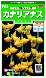 サカタのタネ｜SAKATA SEED CORPORATION 実咲 <strong>カナリア</strong>なす とげなしつのなす 実咲 906578