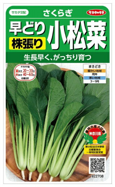 サカタのタネ｜SAKATA SEED CORPORATION 実咲 コマツナ <strong>さくら</strong>ぎ 実咲 922708