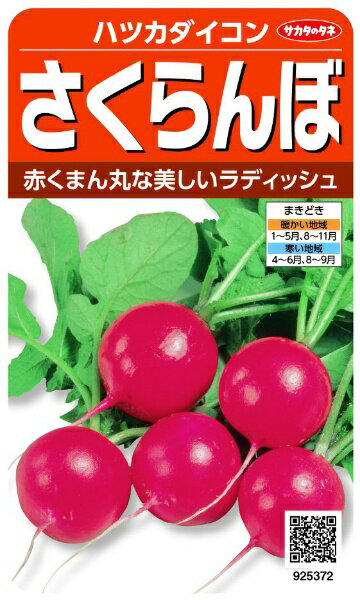 サカタのタネ｜SAKATA SEED CORPORATION 実咲 ハツカダイコン <strong>さくら</strong>んぼ 実咲 925372