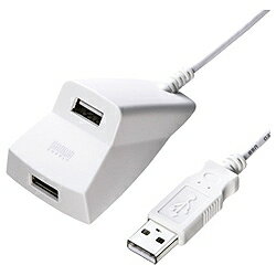 サンワサプライUSB2.0ハブ [手元延長用] （2ポート・バスパワー・ホワイト） USB-HEX206W [USBHEX206W]