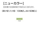 ニューカラー(色画用紙) 4切 やなぎ 100枚 送料無料[...