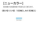 ニューカラー(色画用紙) 8切 ライトブルー 100枚[メー...