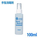 薬用ハンドウォッシュG 100mL 手指消毒剤 業務用 ウイルス 感染症予防 消毒剤 手洗い