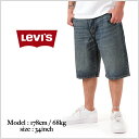 【US限定モデル】LEVI'S / リーバイス 569 デニムショーツ ハーフパンツ【ヴィンテージウォッシュ】