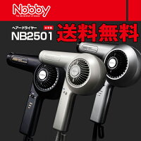 NOBBYNB2501マイナスイオンヘアードライヤー