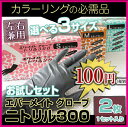 【あす楽対応】エバーメイト ニトリル グローブ 300 【サイズSML選べます】 2枚入1セット お試しセット カラーリンググローブ/ヘアダイグローブ【お中元】