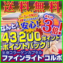 Fine Lite CORPO コルポ ベッド A-205【送料無料】【43200ポイント】【コラーゲンマシン】【取り寄せ商品:納期 約1週間】【ポイント3倍】【父の日】